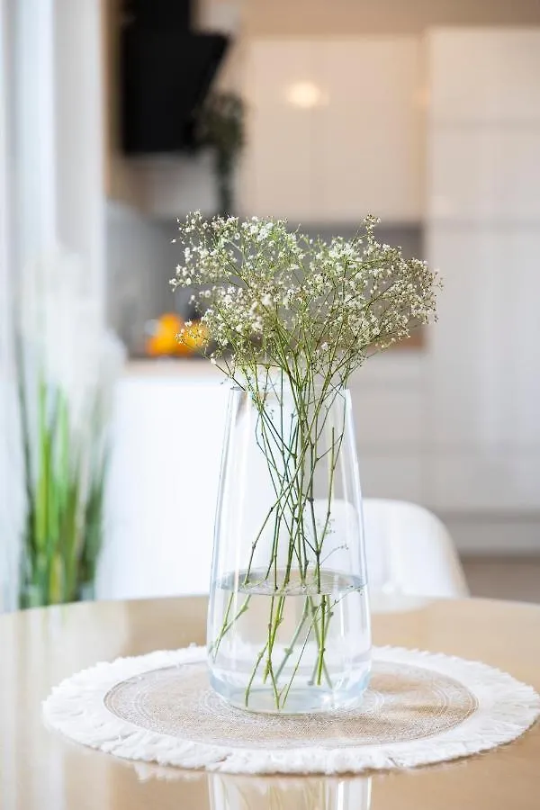 Lusea Apartment Zadar Croatia